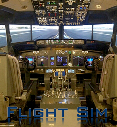 Flight Sim