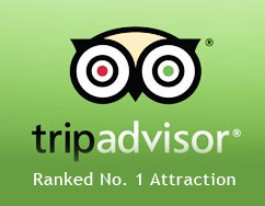 tripadvisor